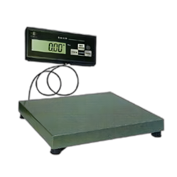 地磅電子秤
